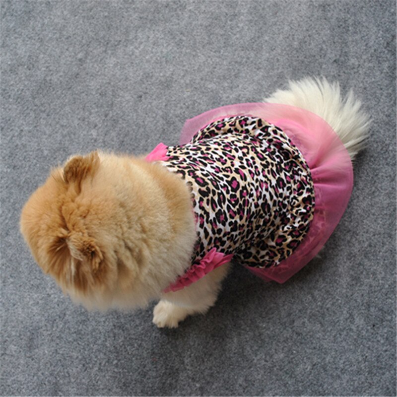 1Pc Leuke Hond Rok Lente Zomer Herfst Luipaard Vest Lace Fillibeg Tiered Rok T-shirt Mooie Kittens Puppies Trendy dragen