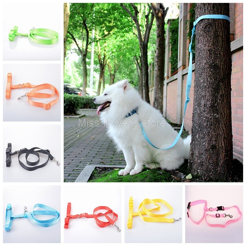 1 PCS Pet Hond Running Walking Jogging Verstelbare Handsfree Leash Taille Riem