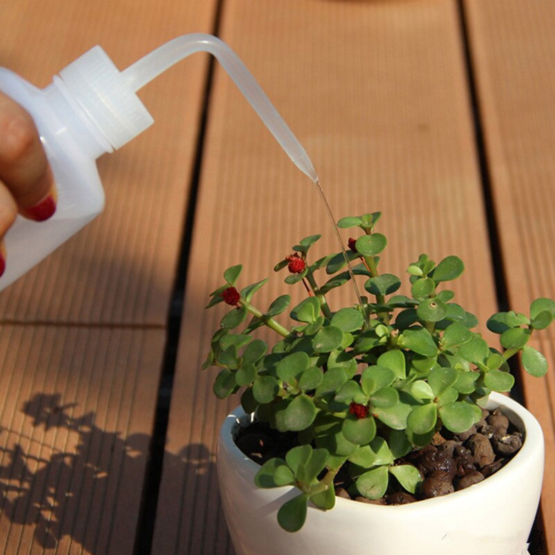 Plastia Arrosoir Gradient 1,4 L Ivoire – Mini Arrosoir Plastique Long Bec Pour Plantes Intérieur & Extérieur – Arrosage Précis Fleurs & Jardin