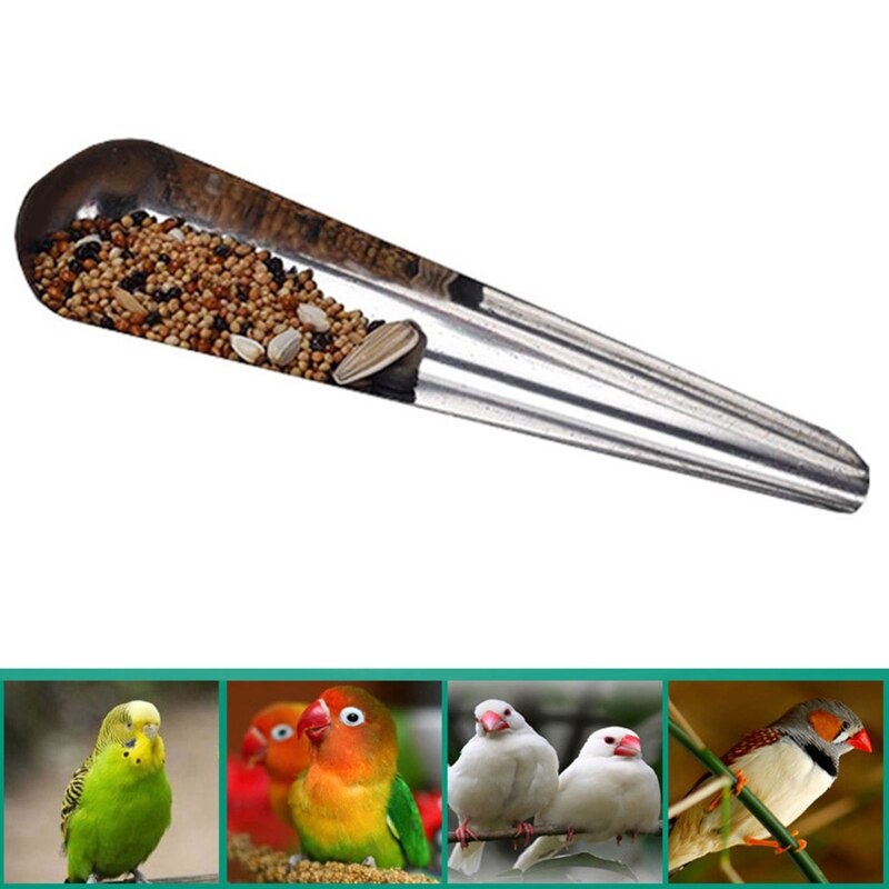 Bird Pointed Seed Dispenser Feeding Spoon Stainless Steel Parrot Feeder Seed Container for Bird Peony Cockatiel Feeding