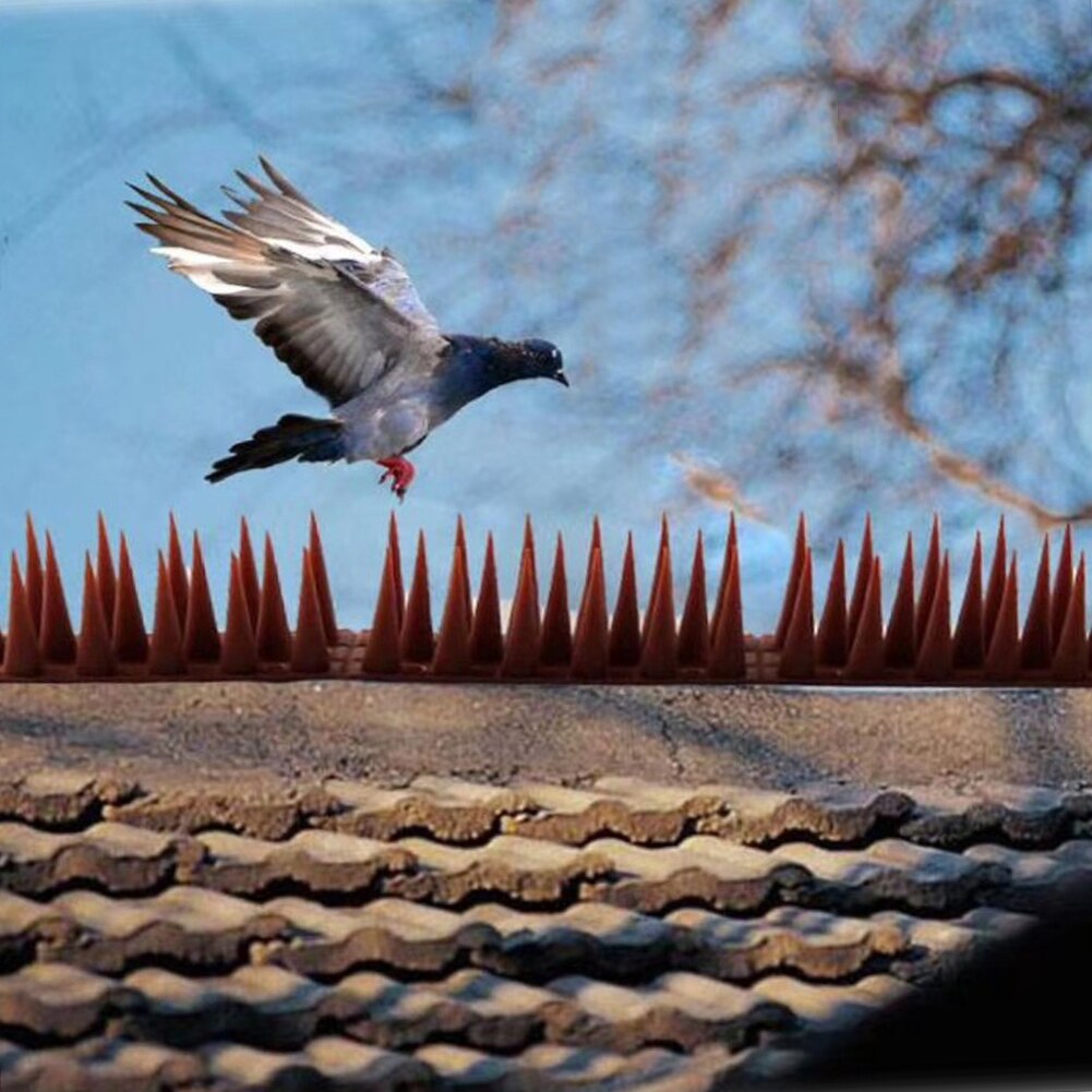 20 pièces anti-oiseaux pointes en plastique Anti Pigeon contre ongles outil de dissuasion des oiseaux