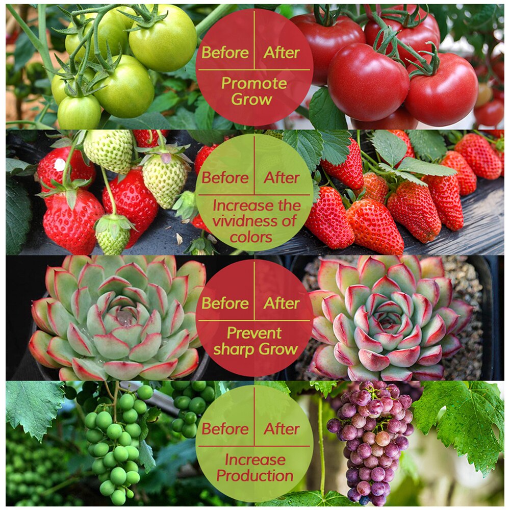 Solar Panel Light Farmhouse Grow Light 5W Solar Panel Flexible Waterproof 0.5/1/2/3/5M Solar Power Lamp Beads Light Spectrum