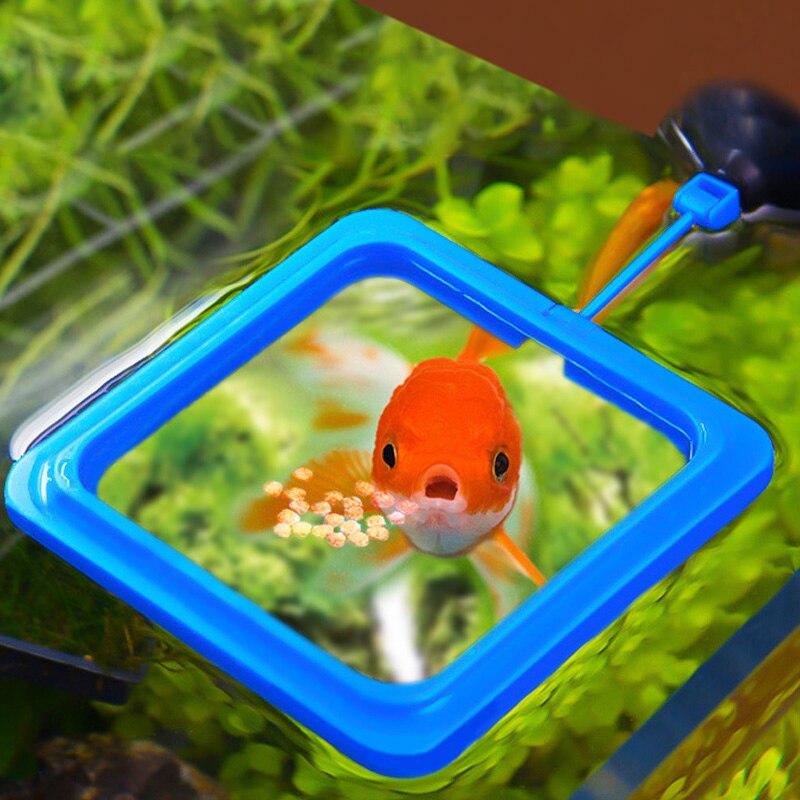 Anillo de alimentación flotante para acuario, comedero para acuario cuadrado redondo alimento para peces, bandeja con ventosa, Accesorios para tanque para peces