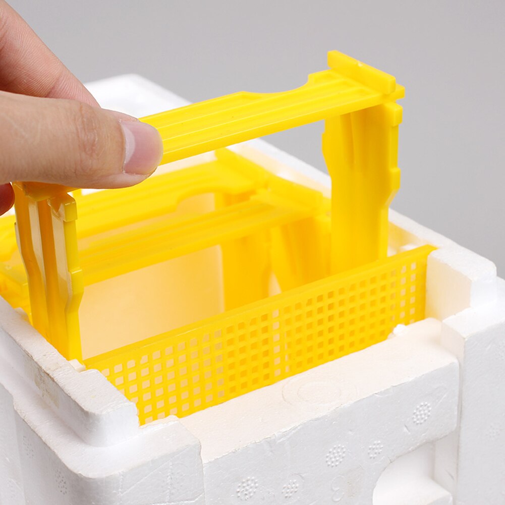 Beekeeping beehive Gardening tools and equipment agriculture Bee Hive Beekeeping King Box Pollination Box Beekeeping Tool
