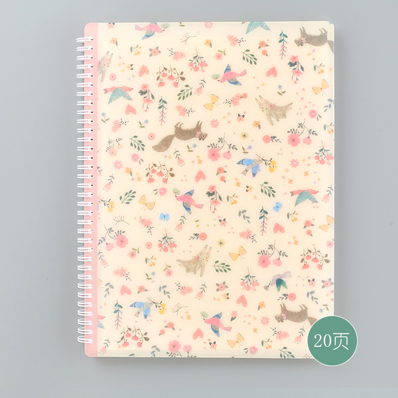 A4 Bestandsmap 20 40 Zakken Mooie Cover Presentatie Map Student Test Papier Office Document Organizer Vullen Producten: Default Title