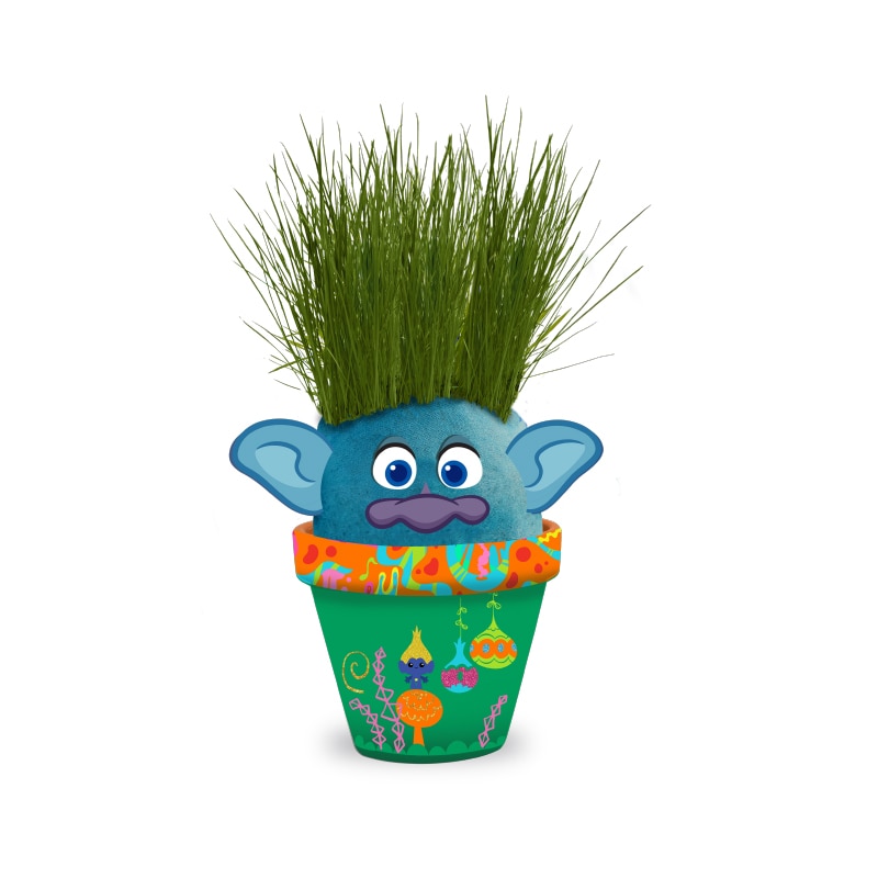 Groeien Uw Eigen Gras Heads Tuin/Kinderen Speelgoed/Craft