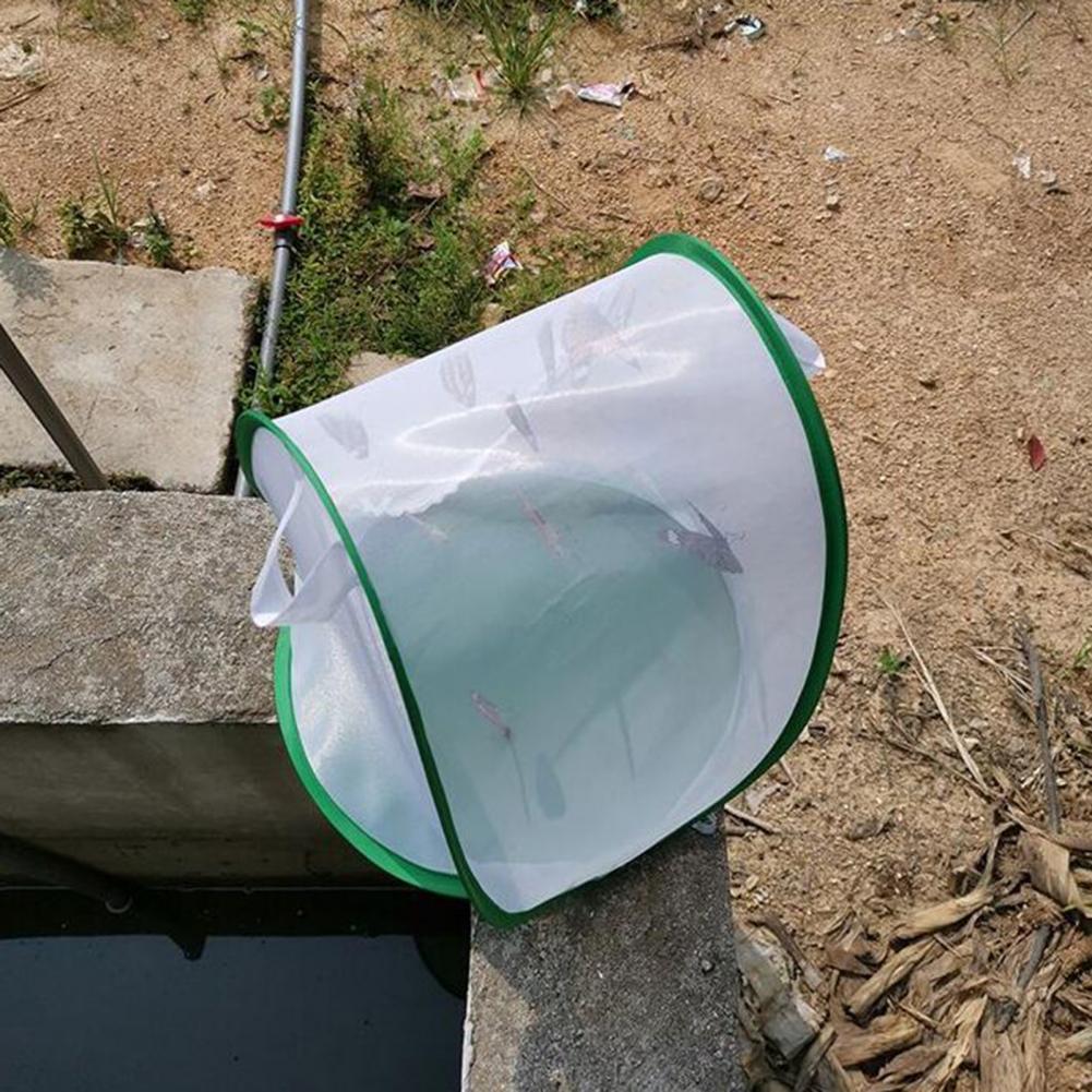 Insect Kooi Opvouwbare Te Dragen Groene Insect Mesh Kooi Terrarium Voor Tuin
