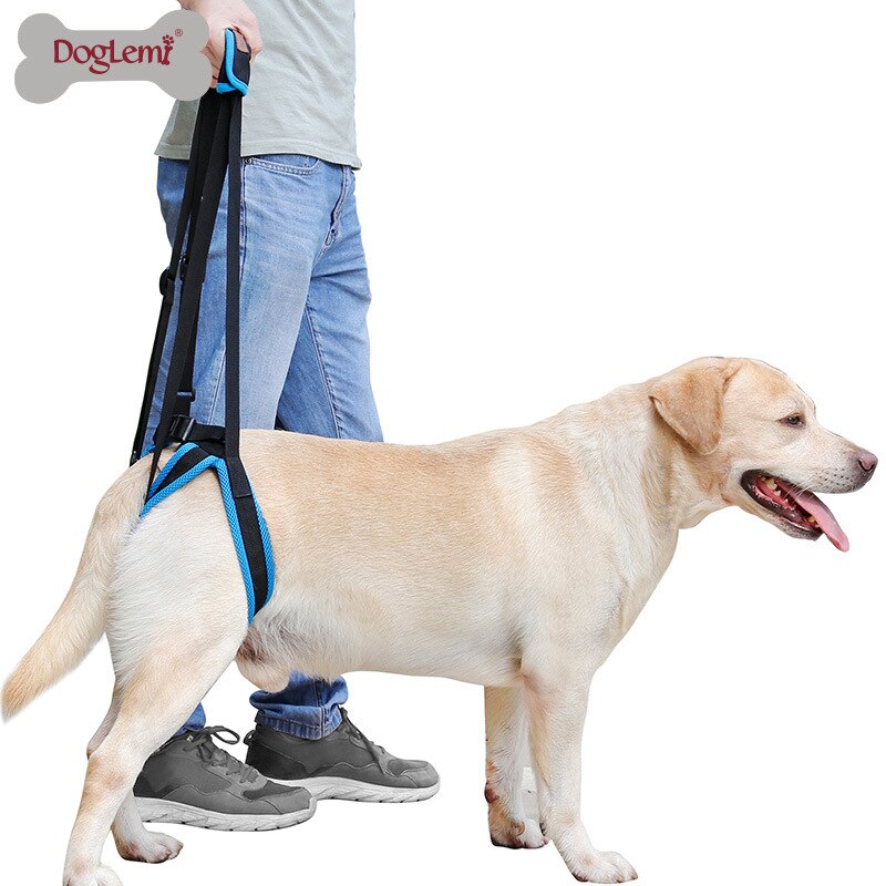 PHOEPET No Pull Hondenharnas, verstelbaar, voor dagelijkse wandelingen