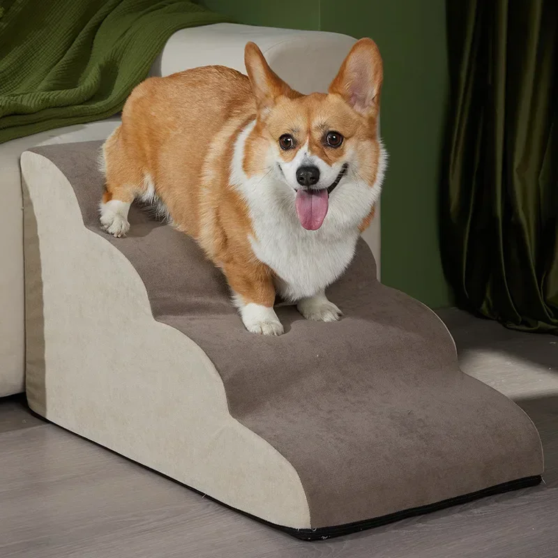 Escalier de canapé pour animaux de compagnie, 2/3 marches, pour petit chien, chat, rampe pour animaux de compagnie, antidérapant, amovible, lit pour chiens, fournitures pour animaux de compagnie