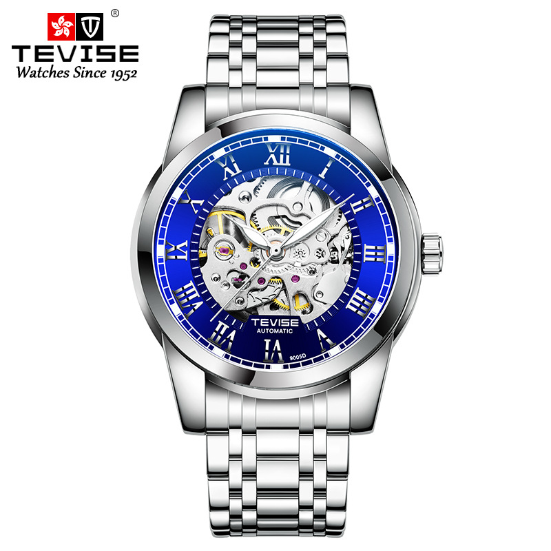 Tevise Horloges Roestvrij Staal Waterdicht Heren Skeleton Horloges Top Luxe Transparante Mechanische Sport Mannelijke Horloges: silver blue