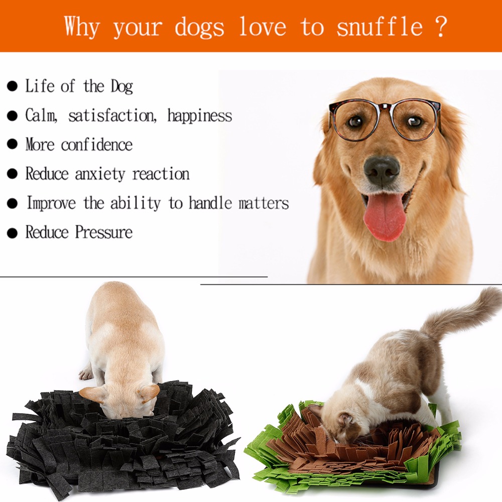 Tapis d&#39;alimentation pour chien, anti-Stress, anti-odeur, outil de travail
