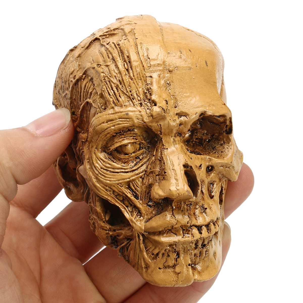 Sketch Resin Craft Skull Head Model Carving Halloween Party Decoration Skull Sculpture Ornaments Home Decoration Accessories