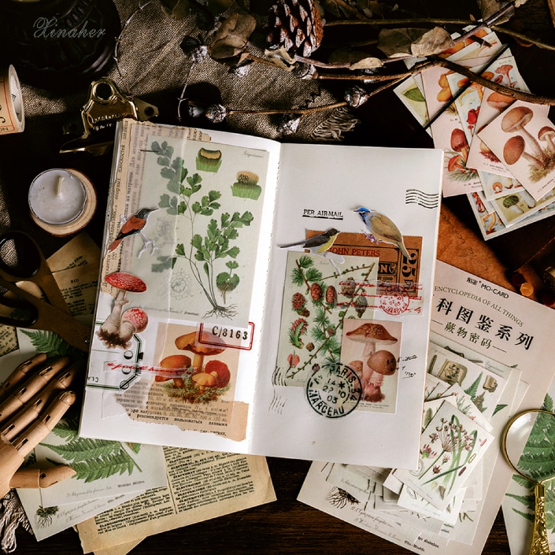Xinaher 60 st / väska vintage fjäril fern växter fågel papper klistermärke dekoration klistermärken diy dagbok scrapbooking etikett klistermärke