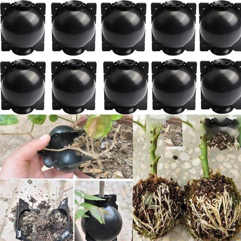 20Pcs Reusable Plant Rooting Equipment Kit Cutting Grafting Rooting Box Branch Rooting Propagator Breeding Ball: Default Title
