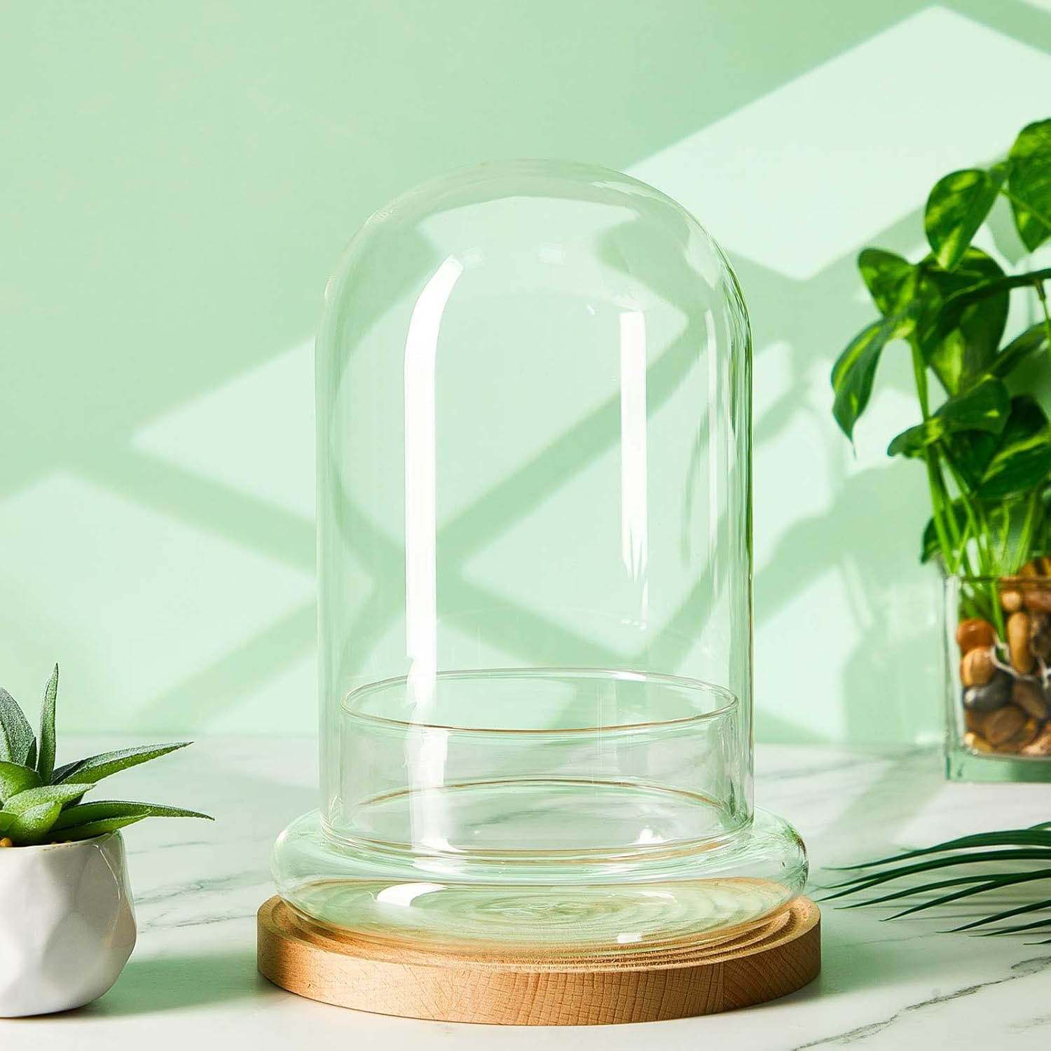 Cúpula de vidrio con orificio de aire, campana de cristal con Base, exhibición de mesa para el hogar, contenedor de terrario transparente para plantas, terrario