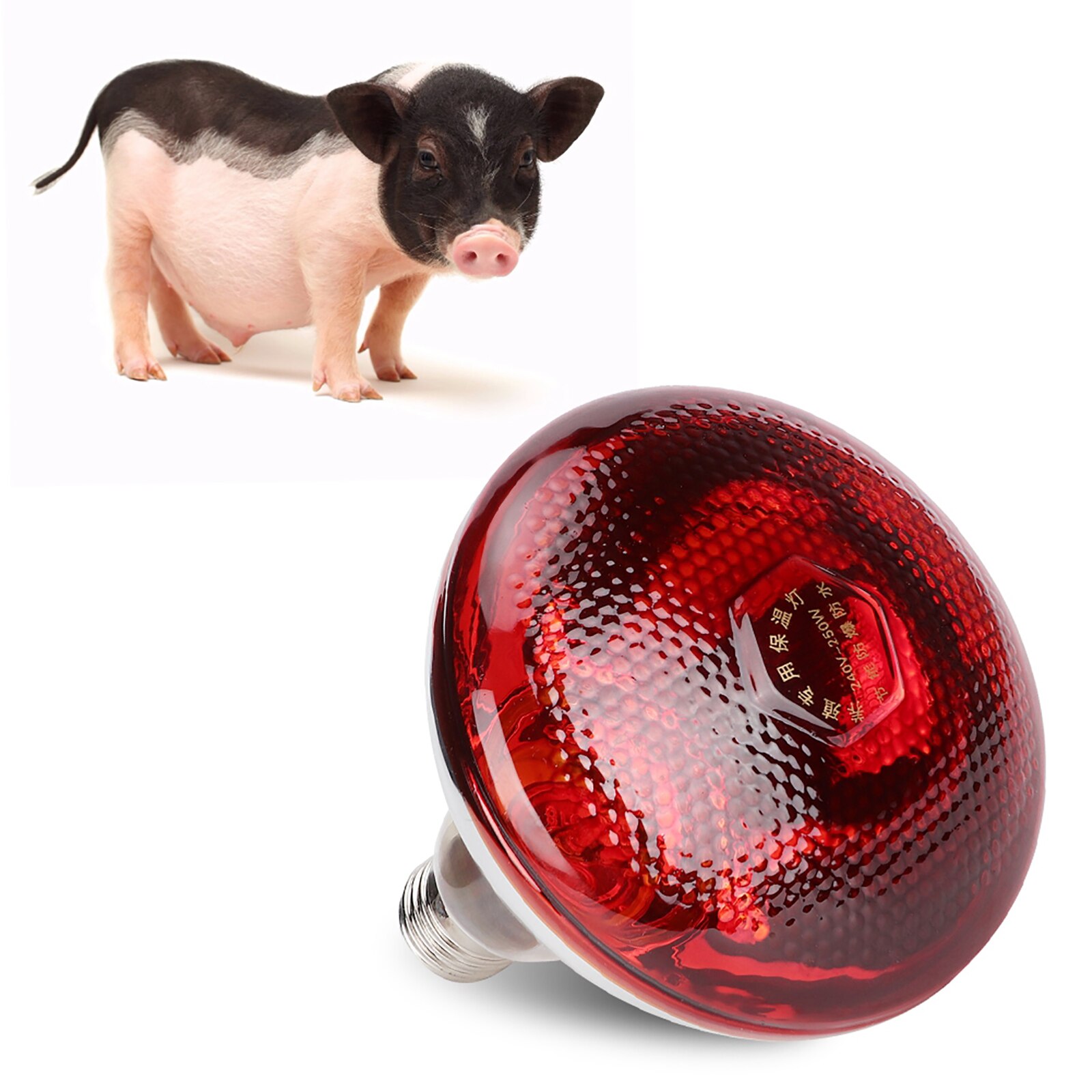E27 konserveringsvärmelampa glödlampa infraröd strållucka glödlampa för gris kyckling djur fjäderfä 2
