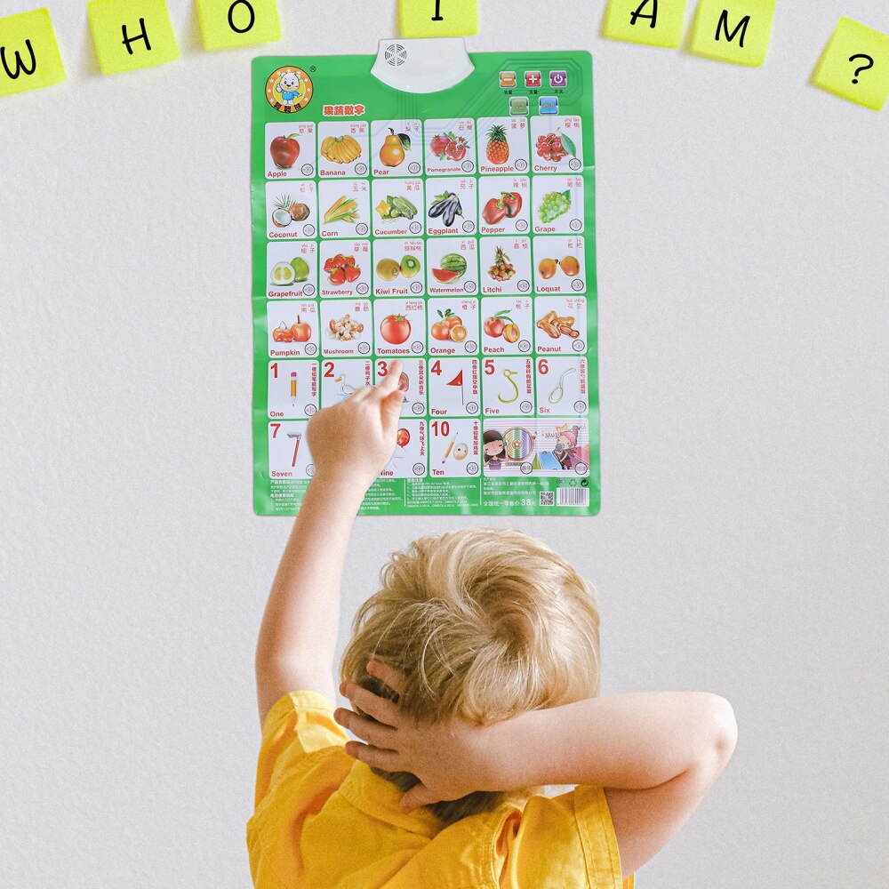 2Pcs Kinderen Educatief Muur Opknoping Posters Audio Muur Opknoping Grafieken