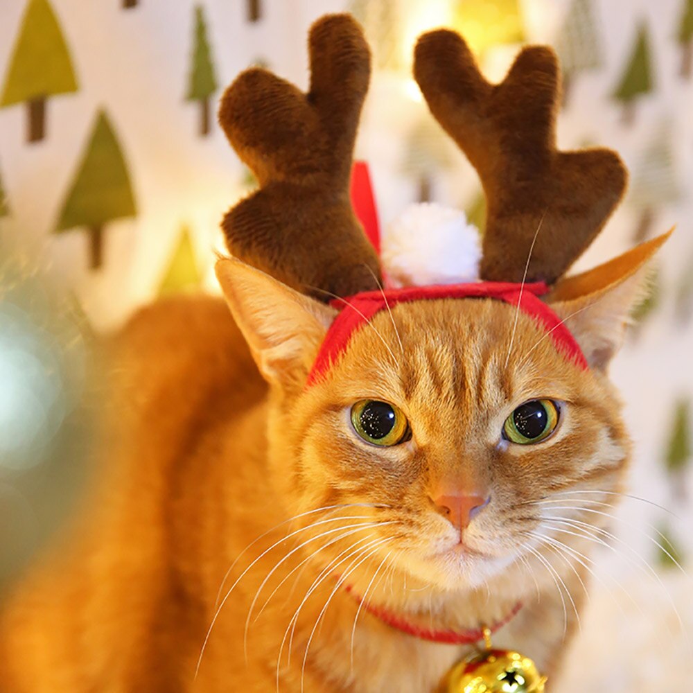 Christmas Elk Headband For Cats Hair Decorations For Dogs Cat Accessories Halloween Pet Supplies Funny Photos Props