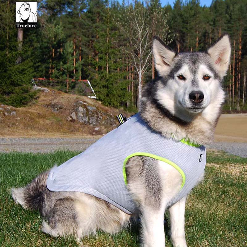 Truelove Zomer Hond Cooling Vest Hond Koeling Harnas Voor Honden Verstelbare Huisdier Mesh Reflecterende Vest