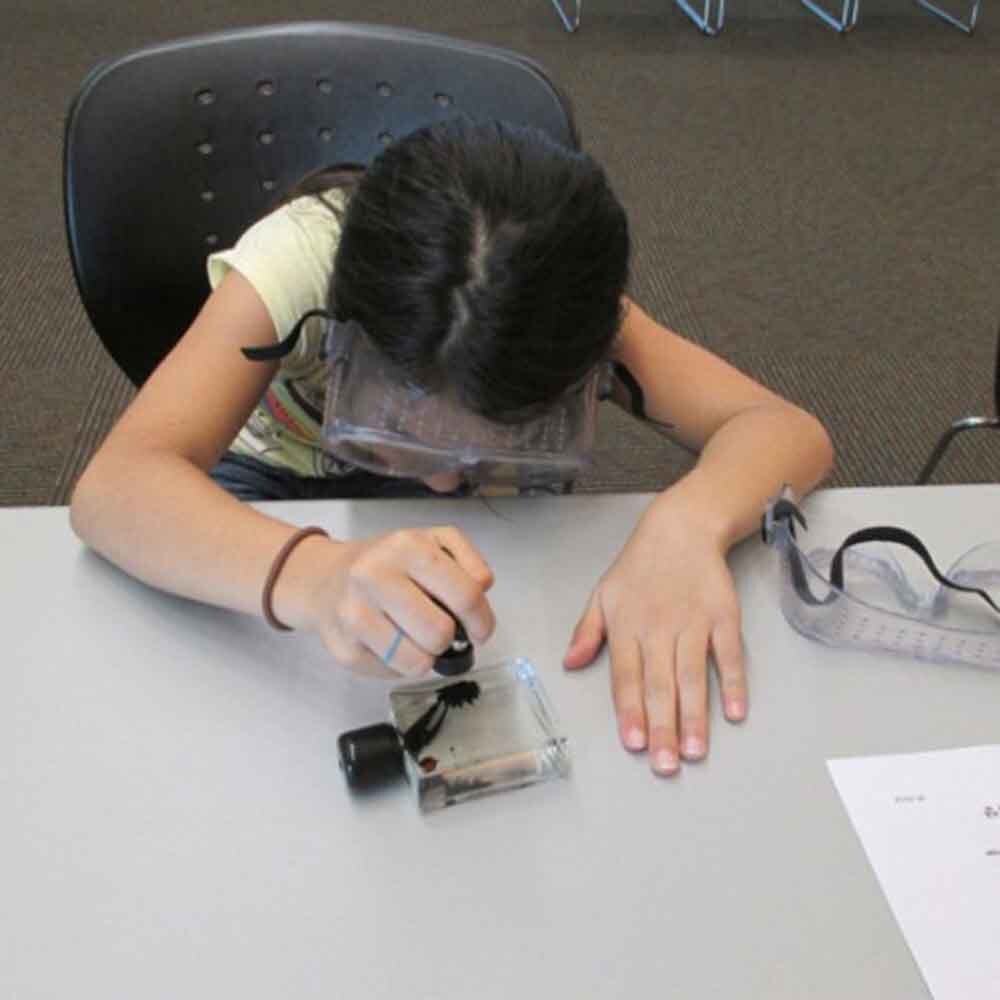 Ferrofluid Venom Gemagnetiseerd Gesmolten Materiaal Desktop En Thuis Funuyc Accessoire