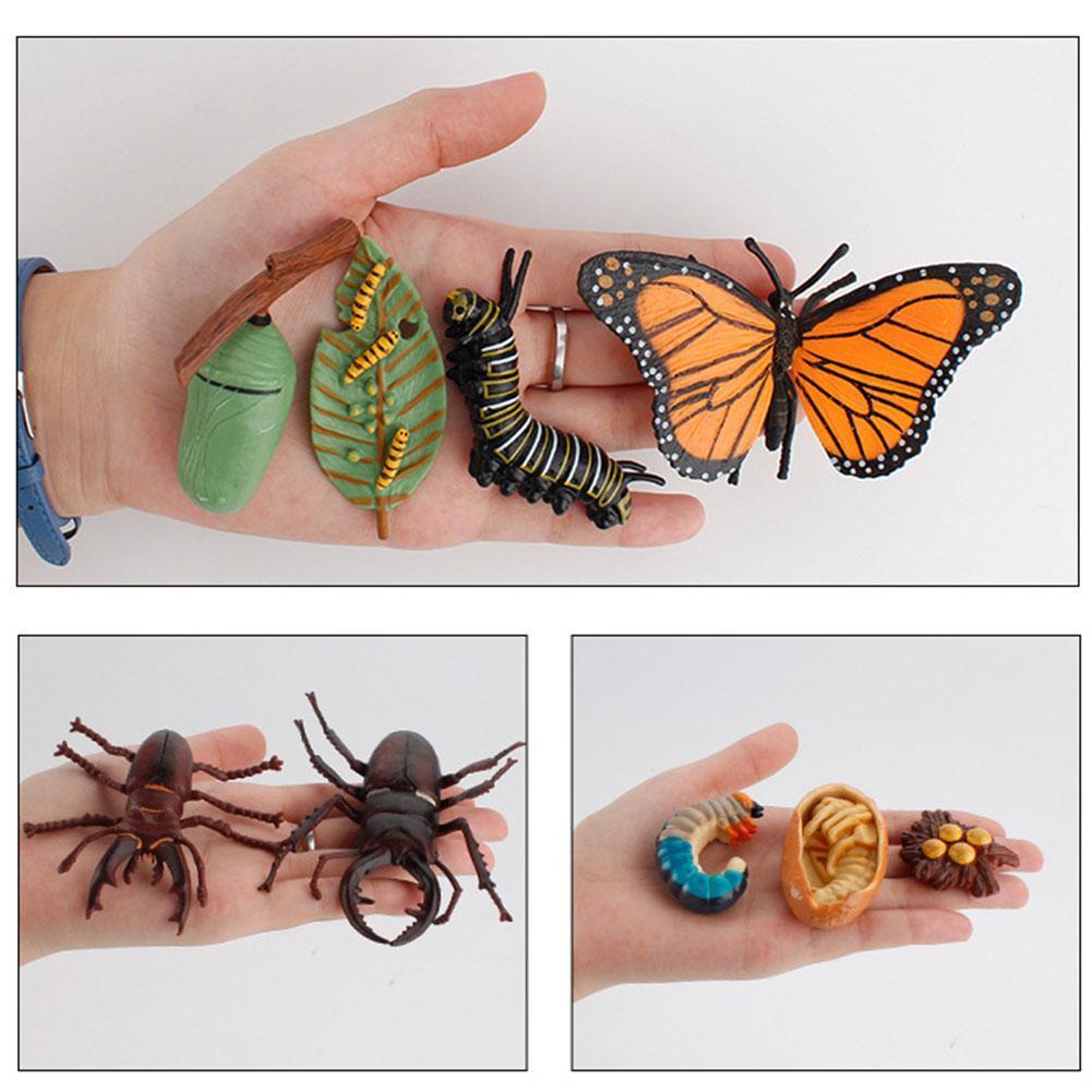 Simulatie Insect Bee Groei Cyclus Model Beeldjes Kikkers Zee Groei Mier Set Mosquito Model Cyclus Cijfers Kip Speelgoed T G5N