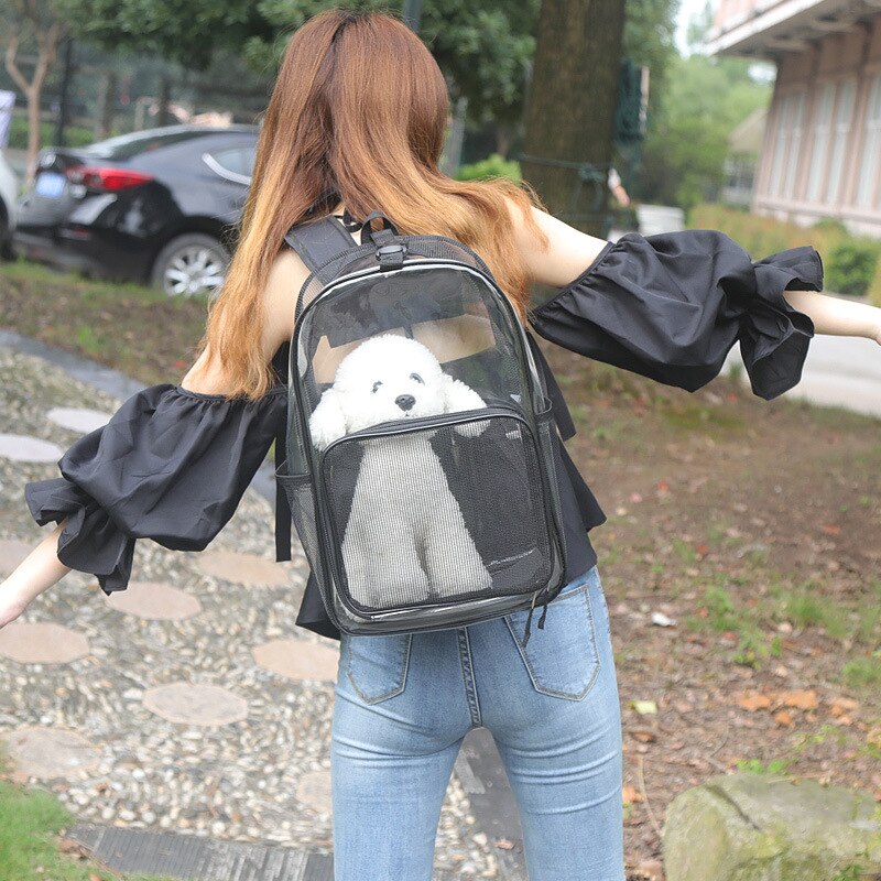 Huisdier Rugzak Kat En Hond Universele Transparante Reistas Uit Rugzak Kat En Hond Rugzak