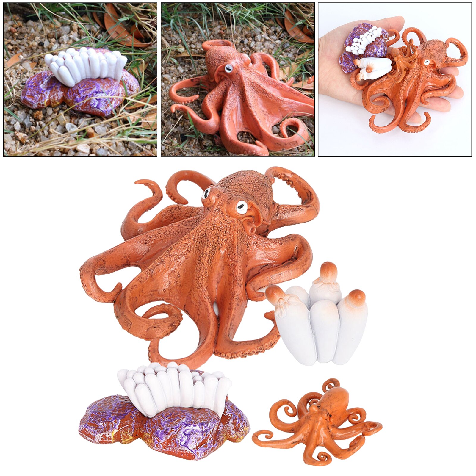 4 Stadia Levenscyclus Van Een Octopus, Insecten Plastic Octopus Speelgoed Figuur-Authentieke Hand Painted Model