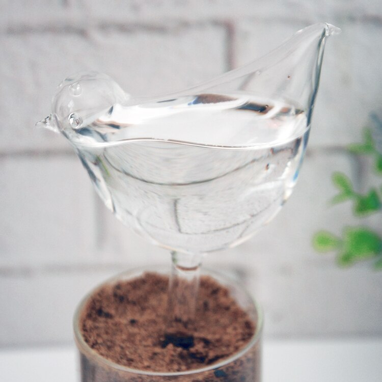Klart glas selvvandende kugler plante blomster små automatiske vanding løg til pottehave udendørs indendørs