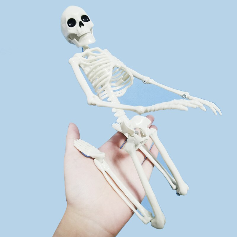 5 Pcs Menselijk Anatomie Skelet Skelet Model Medische Geneeskunde Leermiddel Anatomie 1 Paar Schedel Skelet Hand Bone Halloween