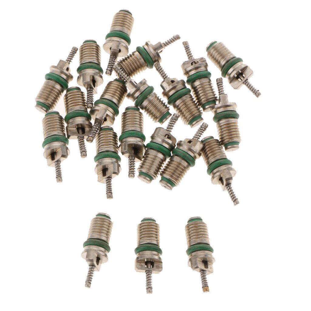 20 Pieces High Pressure Car Air Conditioning R134A Core Valve Service Kit