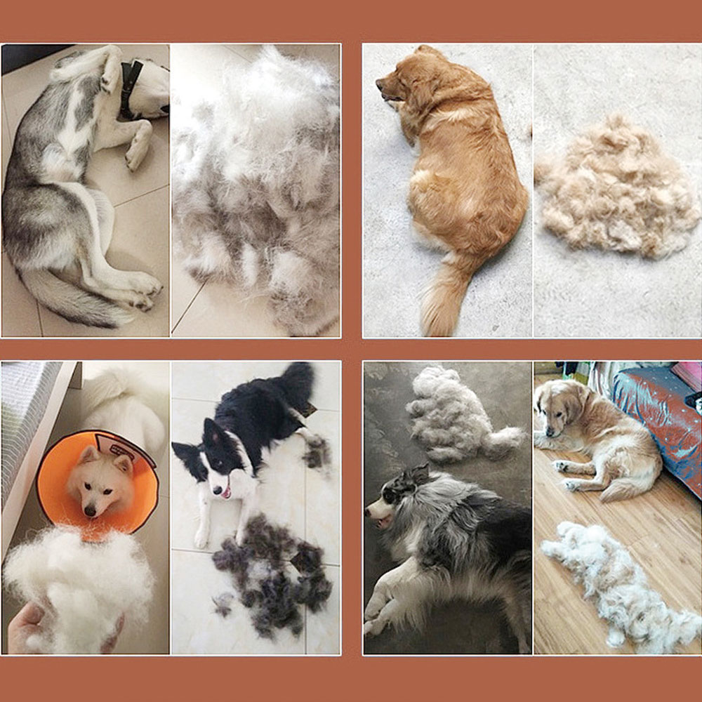 Dubbelzijdig Walnoot Hond Kat Kam Huisdier Haaruitval Removal Grooming Gereedschap Gelikter Trimmer Borstel Voor Huisdieren Fit Verschillende haar