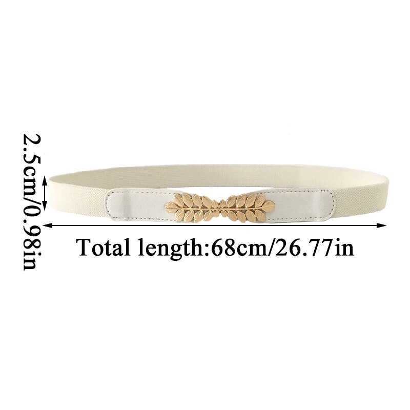Women Waist Belt Narrow Stretch Dress Belt Thin Buckle Waistband