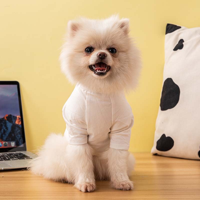 T-shirty dla psów designerskie ubrania dla psów fajne oddychające sznaucer z francuskiego buldoga na małe psy