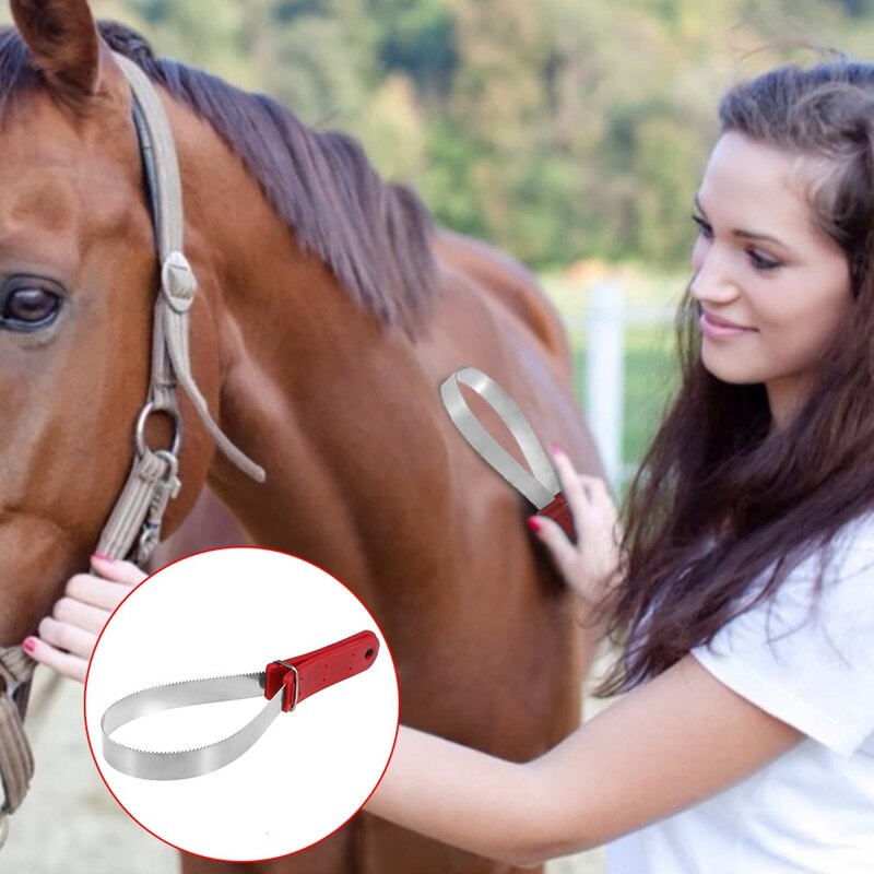 -Verlies Blade Rvs Paard Verlies Blade Dubbelzijdig Equine Zweet Schraper Shredder Voor Paard Hond Jas dieren