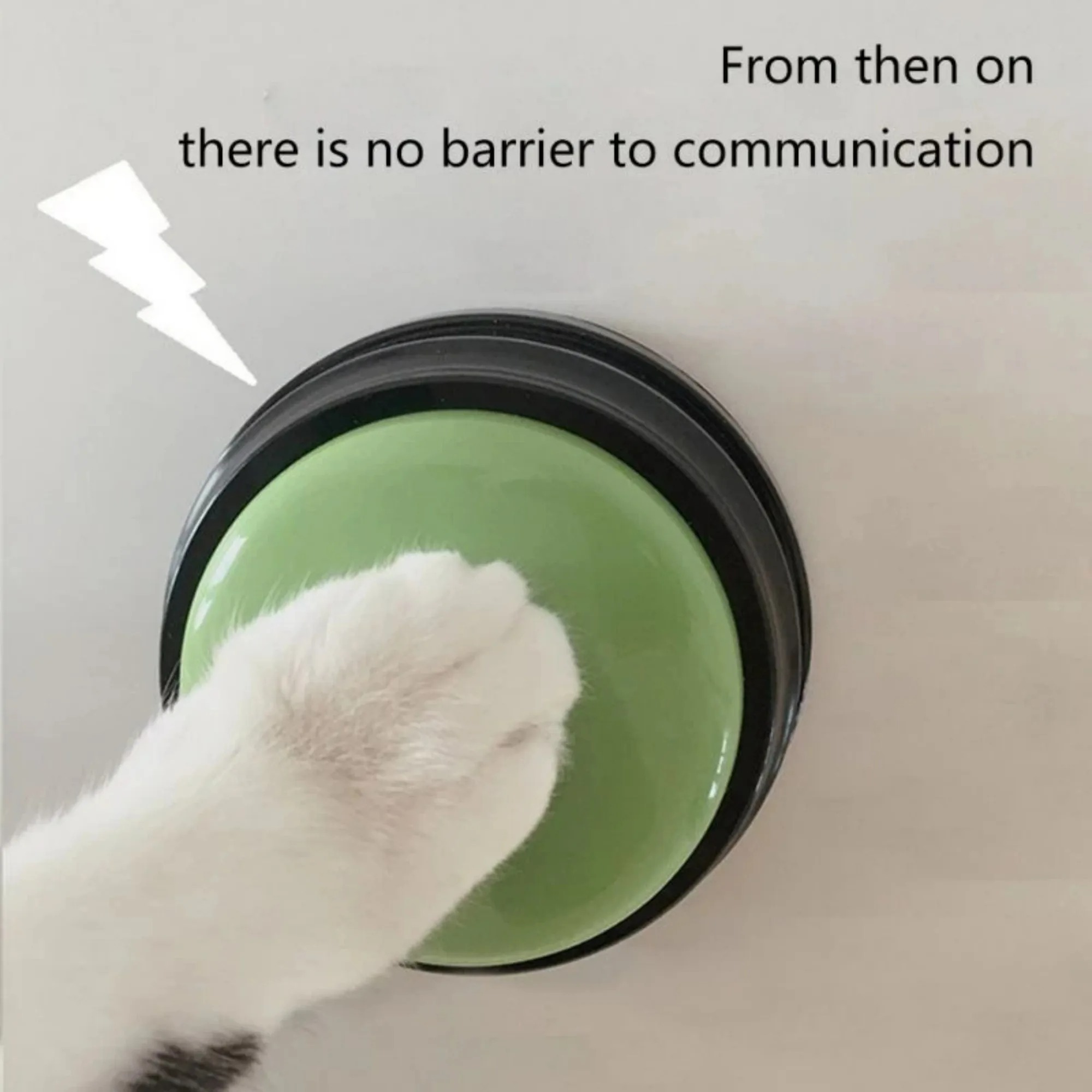 Dog Communication Buttons Voice Recording Button for Pet Training Buzzer 30 Second Record Playback Funny for Talking Pet