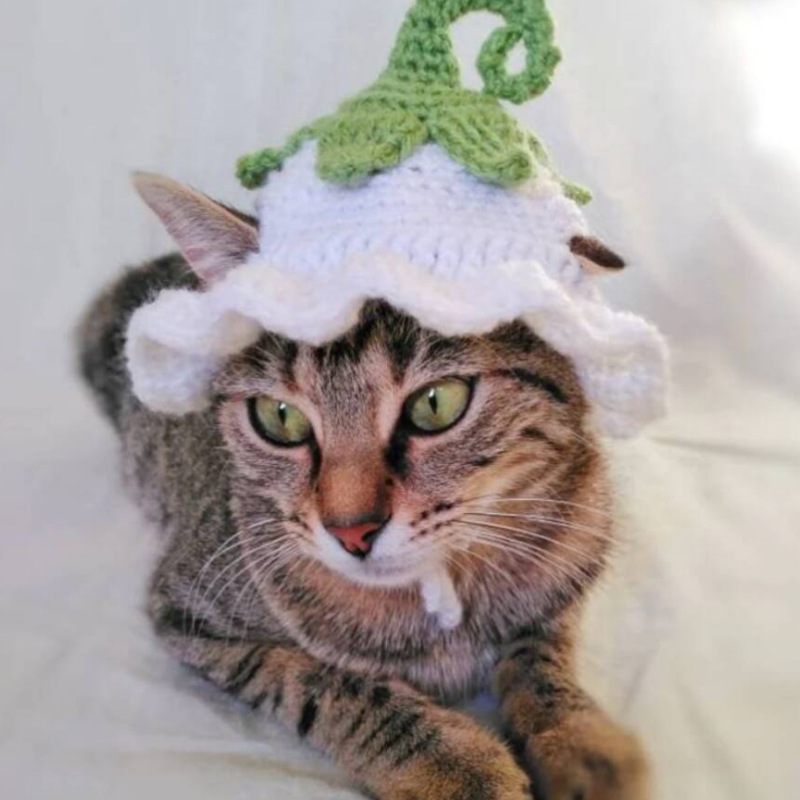 Sombrero de flores, sombrero de ganchillo para gato, perro pequeño, sombrero de berenjena de ganchillo, patrón para gatos y perros, ropa para gatos, accesorios para gatos, traje para mascotas: M / Rojo