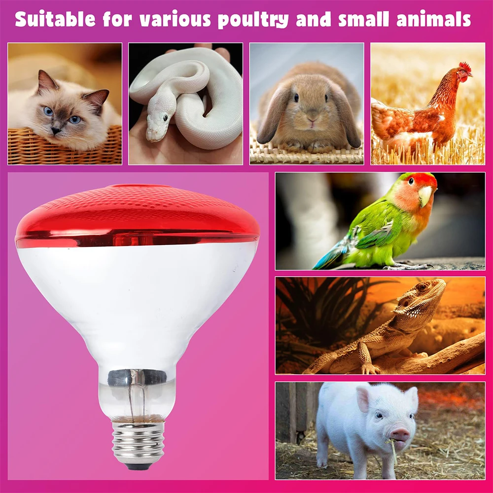 220 V Infrarot-Heizlampe, 100/150/200/275 W, für Amphibien, Reptilien, Geflügel, Haustiere, Vieh, E27, Huhn, Ente, Bauernhofbedarf
