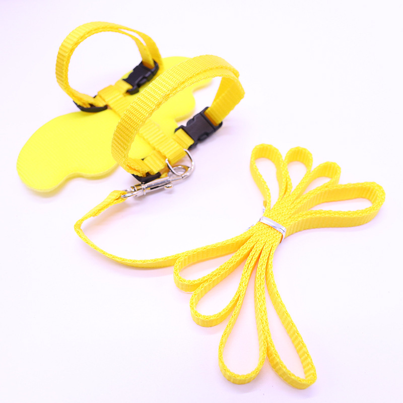 Kleine Hond Kat Riem Leuke Angel Wing Set Verstelbare Hond Met Nylon Riem Angel Wing Kraag Huisdier Lood Kat Hond met Leuke Accessoires
