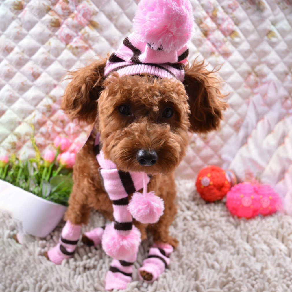 Pet Kleding In De Winter Om Warm Driedelige Hoed Elleboog Sjaals Teddybeer Herfst Winter Warm Te Houden