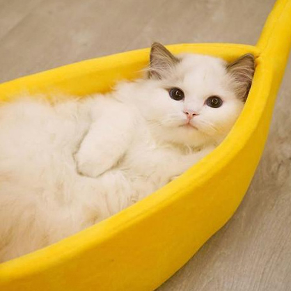 Animais de estimação gato cão sofá cama forma de banana casa do cão bonito animal de estimação canil ninho quente gato dormir camas casa popular