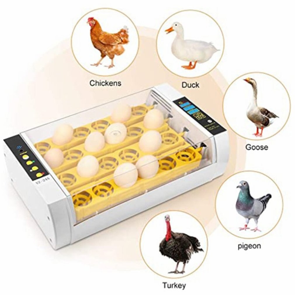 Upgraded version 24 Eggs Automatic incubator with illuminated egg function neutral and no logo Digital Turning