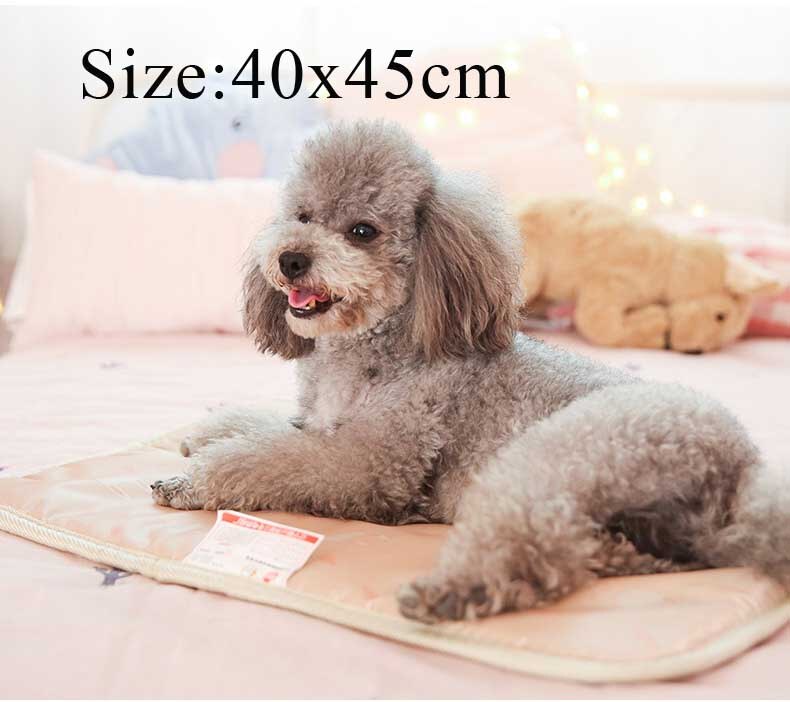 Verwarmingskussen voor huisdieren, honden en katten, elektrisch winterwarm tapijt voor dieren, waterdicht pluchen beddeken, verwarmingsmat, tapijtverwarmingskussen: Roze -s