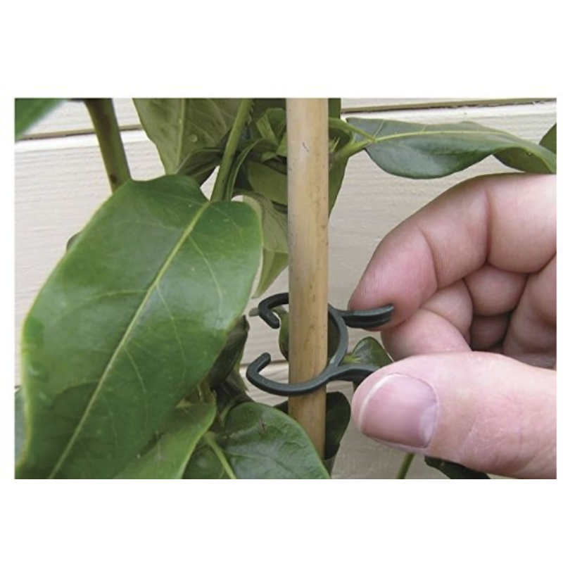 100PCS Plant Garden Clips 2 Sizes Planting Support Grippers Great for Flower Vine and Vegetable Lever Loop Clamp Holding Stems