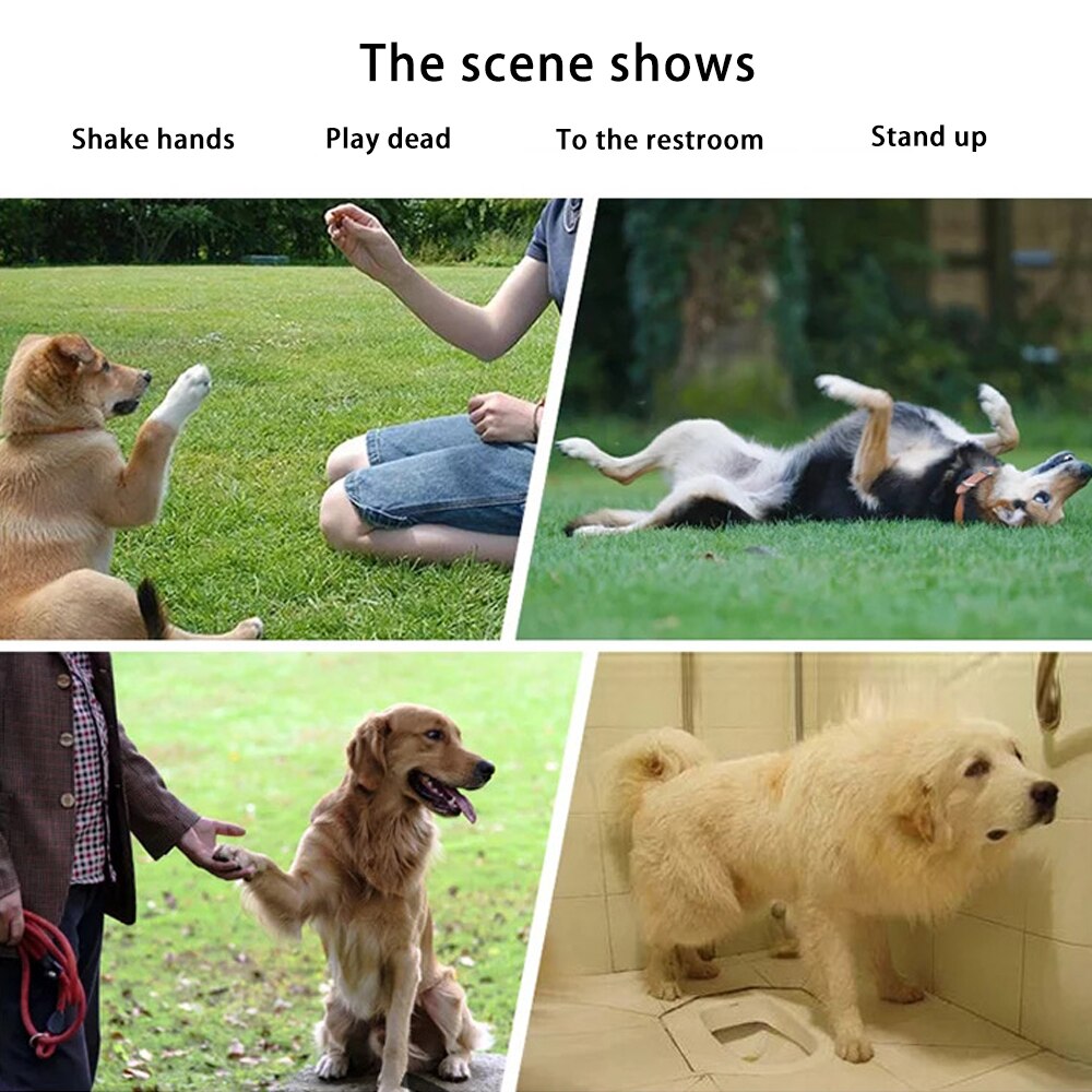 Hond Training Set Huisdier Fluitje Clicker Zak Touw Bal Ring Puller Speelgoed Grote Honden Interactieve Trainingen Apparatuur Accessoires Voor