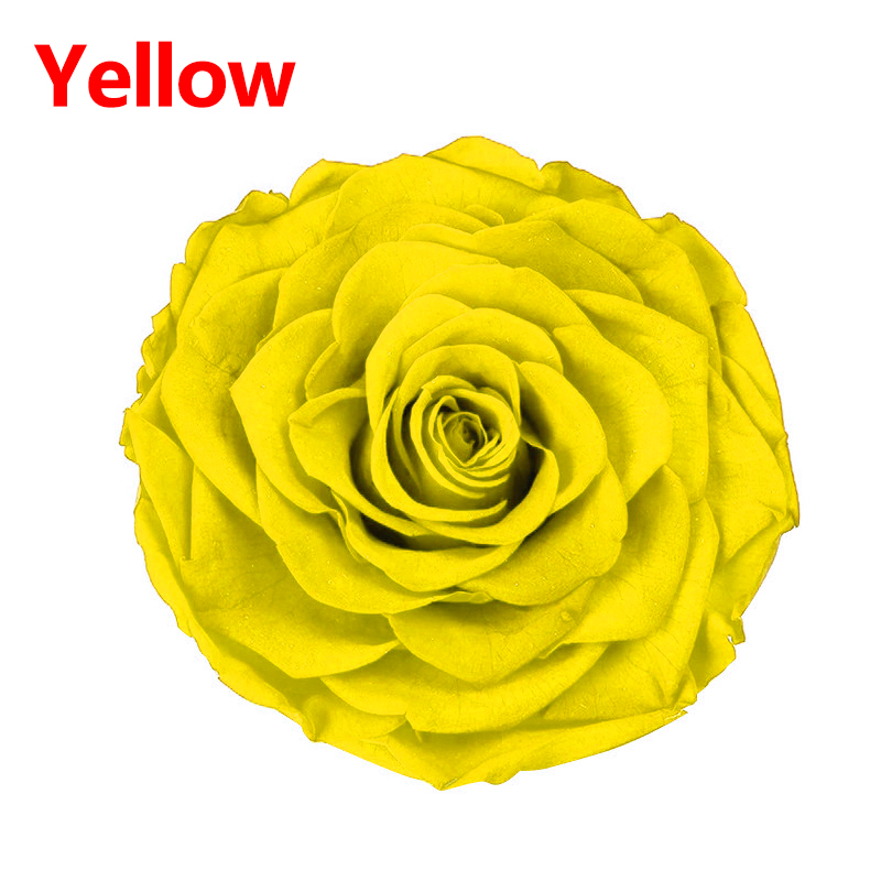 8 Stks/doos Bewaard Rose Bloemen Onsterfelijke Rose 5Cm Diameter Moeders Dag Diy Bruiloft Eeuwige Leven Bloem Materiaal: 4