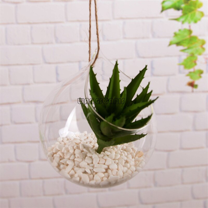 1x glas hängande växt terrarium blomma vas fisk kruka vägg boll behållare växt blommor hängande kruka: Kulform 15cm