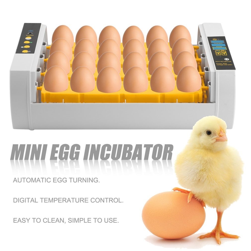 24 Eieren Incubator Automatische Draaien Uitkomen Met Led Scherm Temperatuur Vochtigheid Controle Voor Kip Kwartel Vogel Incubatie Tool