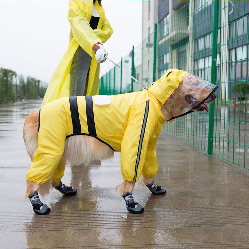 Grote Honden Regenjas Vier-Legged Waterdichte Golden Retriever Labrador Satsuma Universal Medium Grote Hond Regenachtige Dag Kleding
