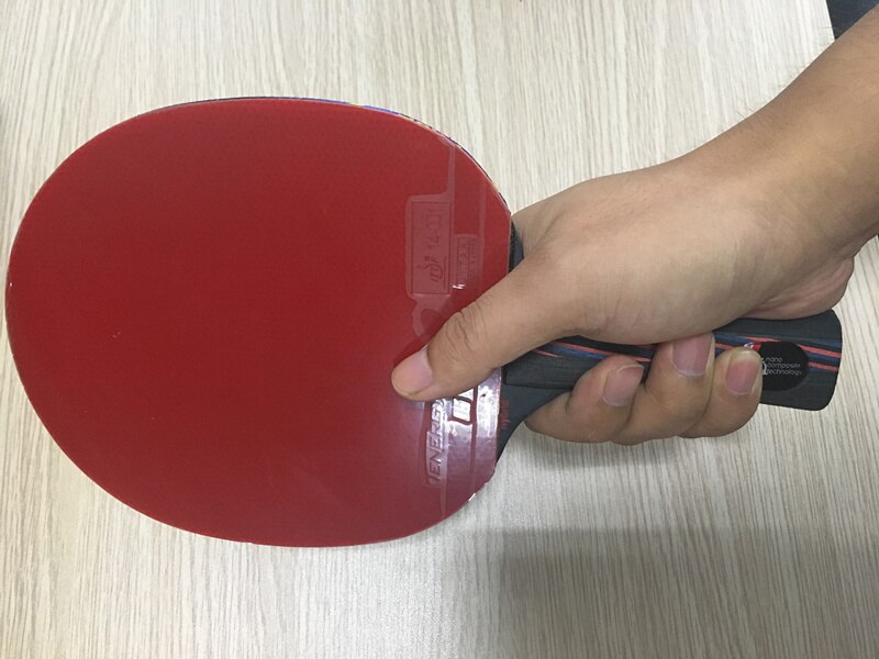Hybrid Wood 9.8 Brand Table tennis racket double face Pimples-in blue rubber Ping Pong Racket tenis de mesa: FL handle