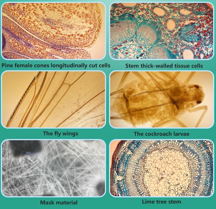 Universale Del Telefono mobile Microscopio Hd Della Macchina Fotografica Lente Luce Supplementare 400X Microscopio dell'obiettivo di Macchina Fotografica Universale per iPhone androide